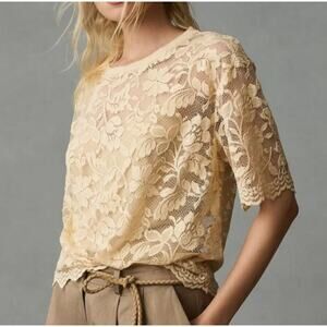 Dolan Women's Tan Boxy Lace Tee Shirt Blouse Size 1X